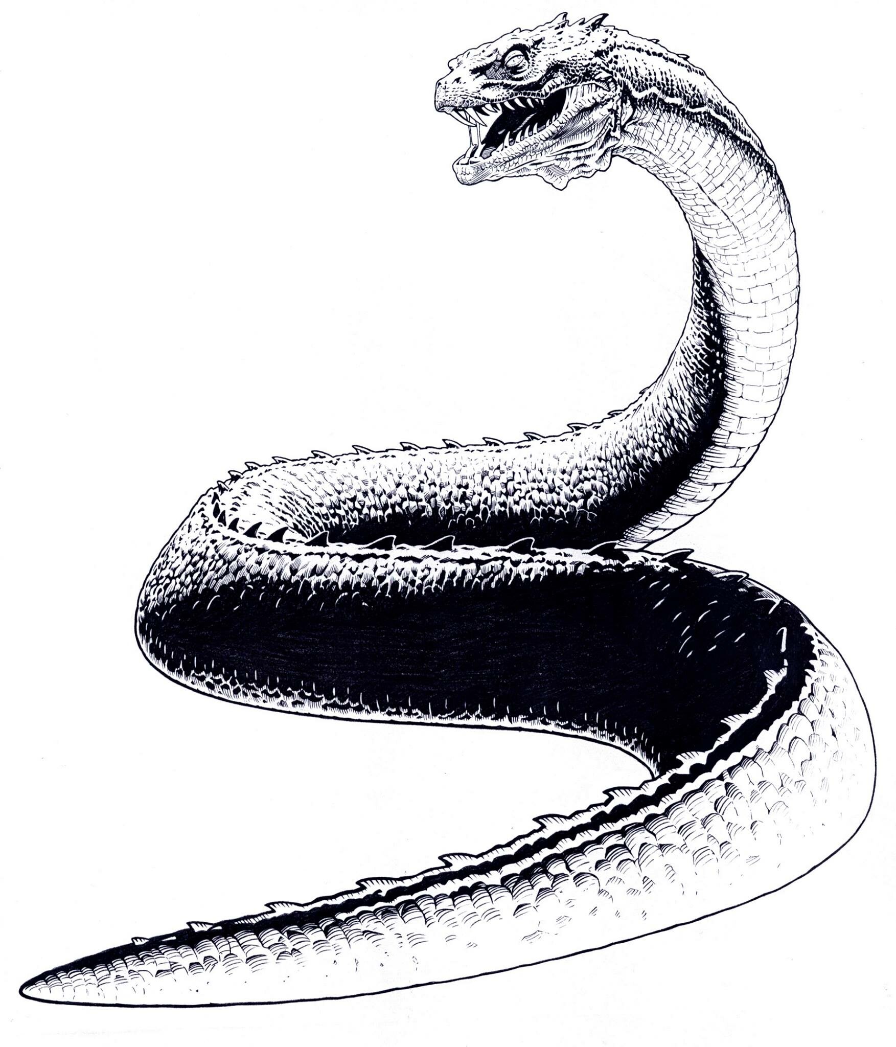 Jerome Moore Harry Potter And The Chamber Of Secrets The Basilisk