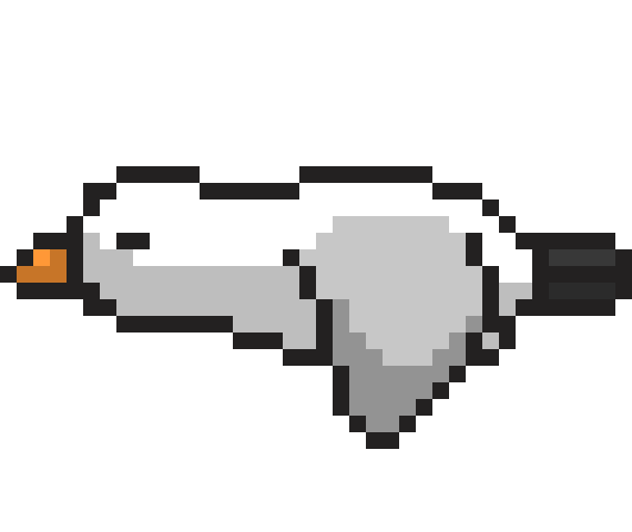 Seagull fly animation.