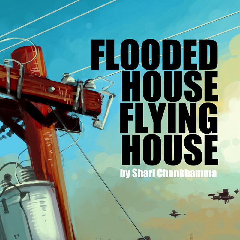 Flooded House, Flying House