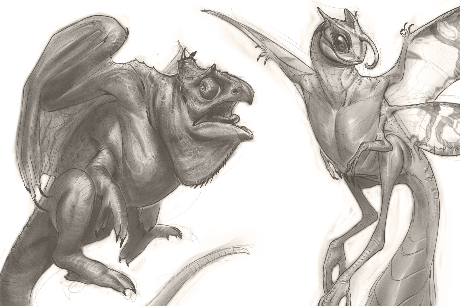 Artstation Weird Dragons Seungeun Ha