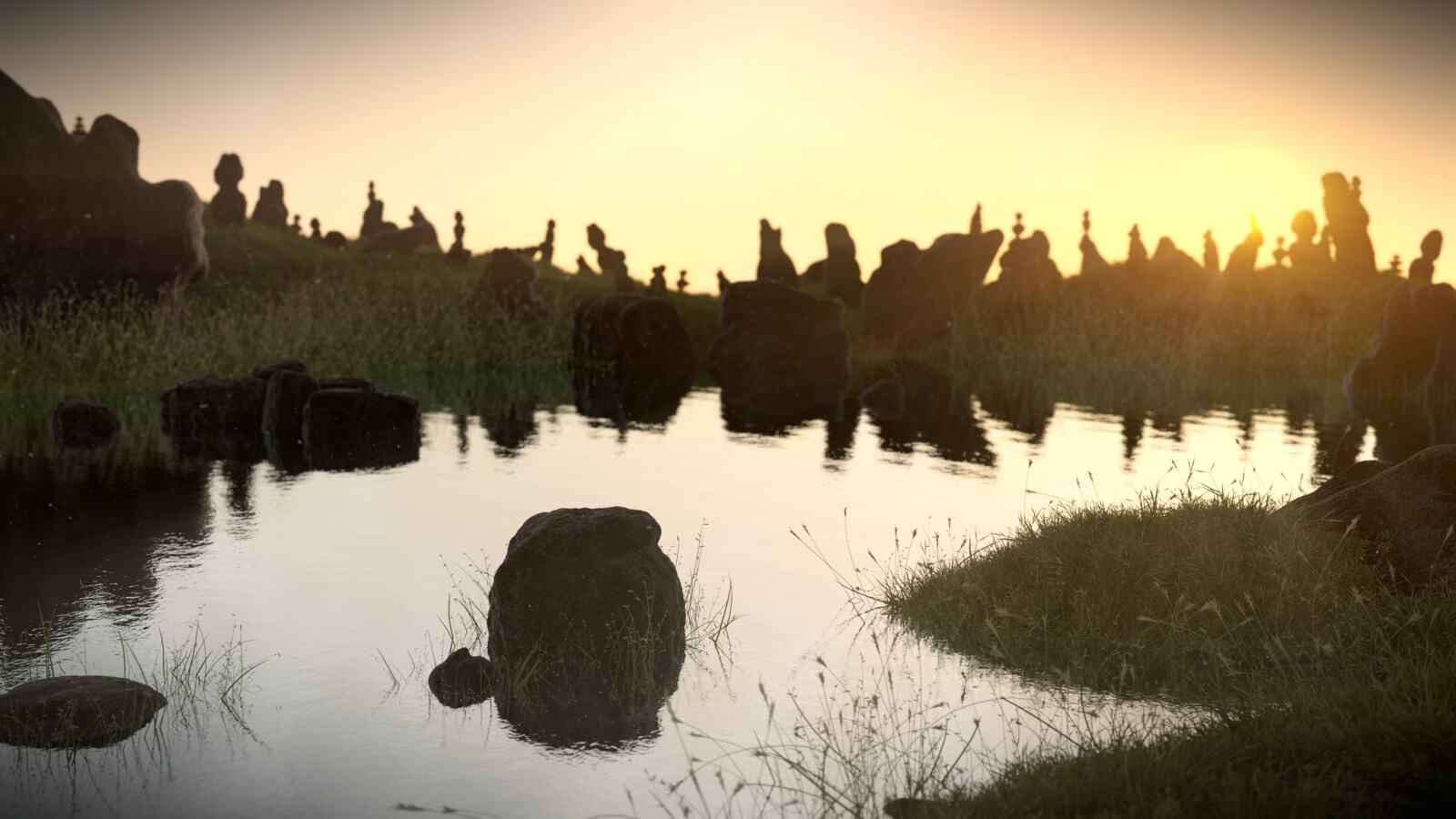 Sunny scenery