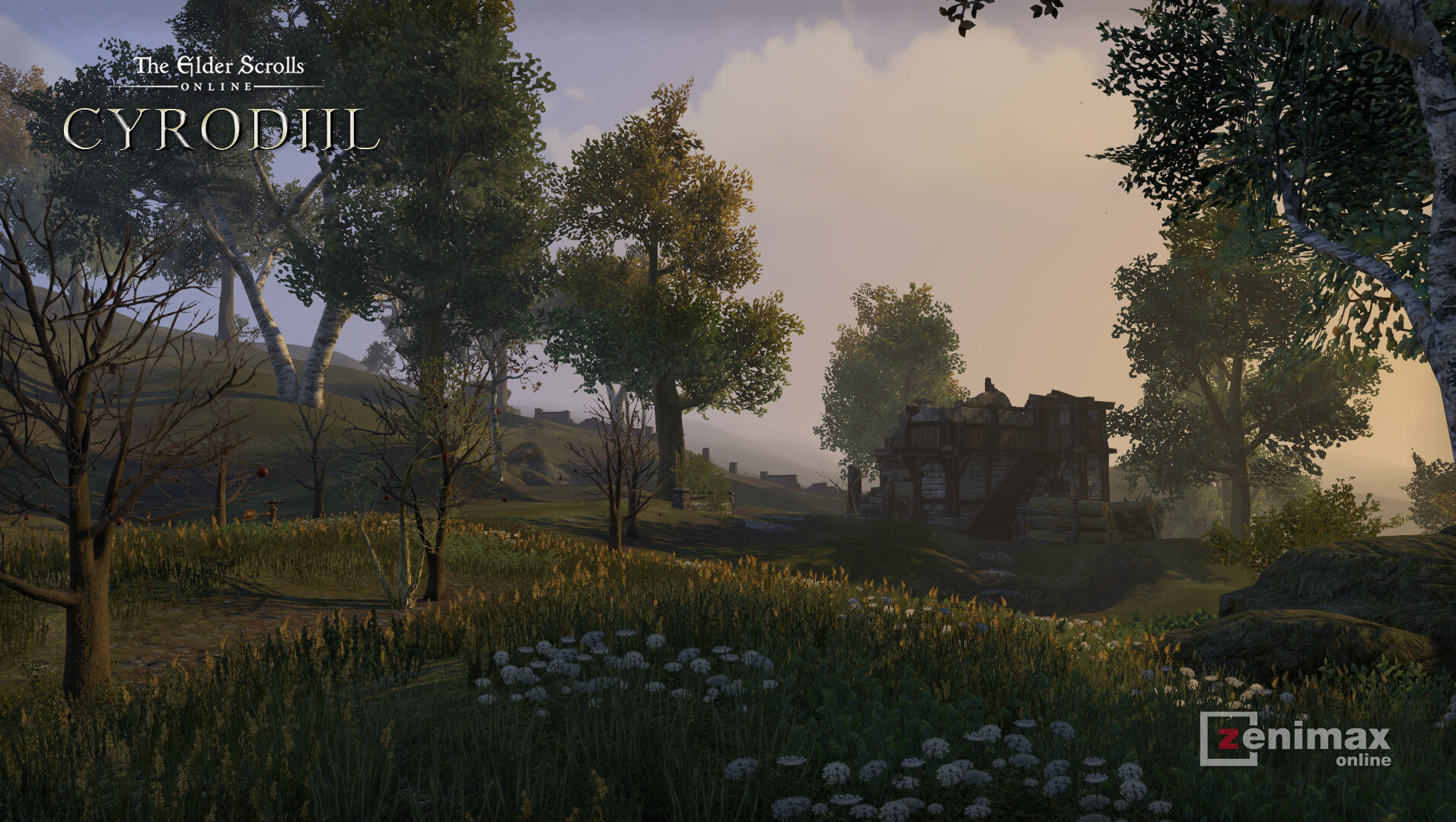 Artstation Elder Scrolls Online Cyrodiil Steve Pawlik