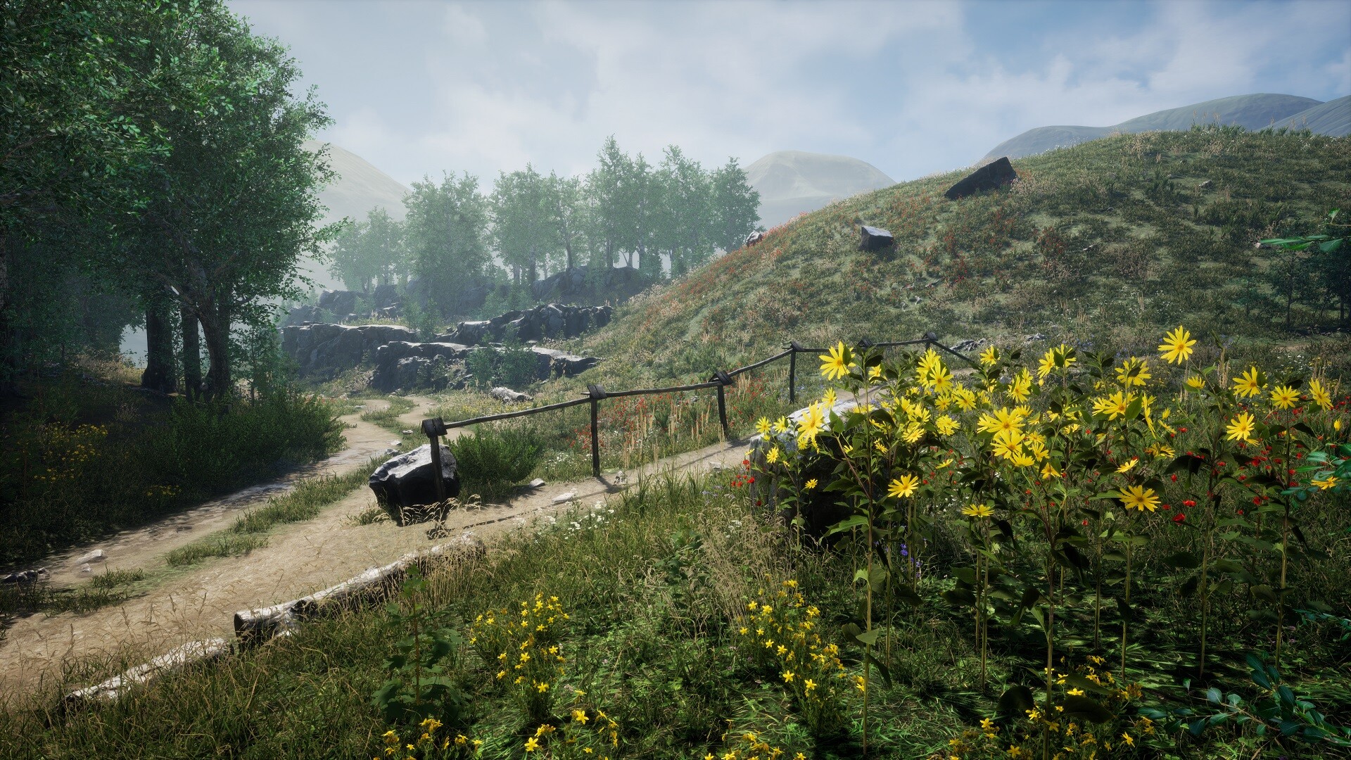 Environment on set. Forest environment Dynamic. Unreal engine environment. Meadow environment - Dynamic nature v1.0.1. Natural environment.