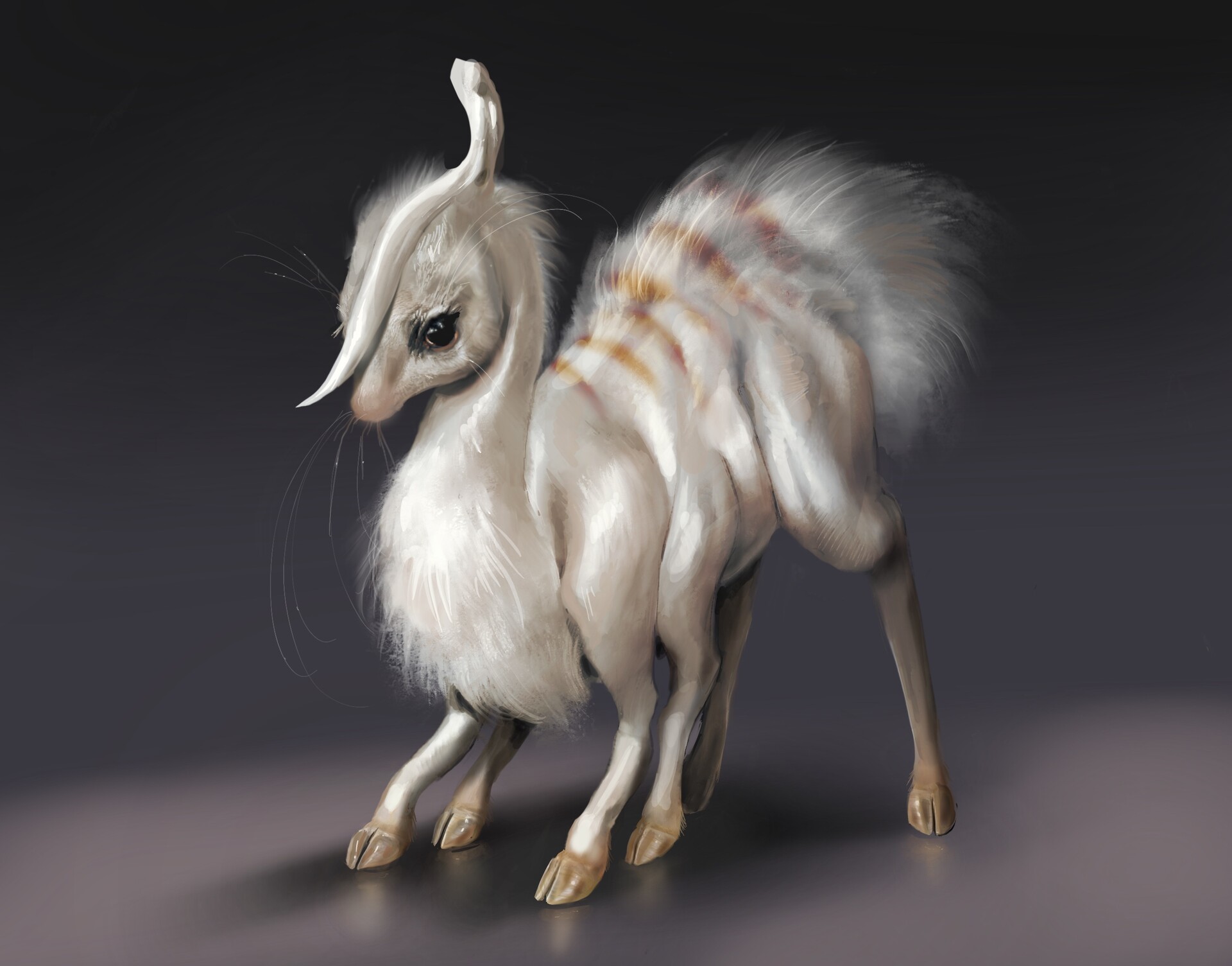 NegoÅ lamb (baby) 