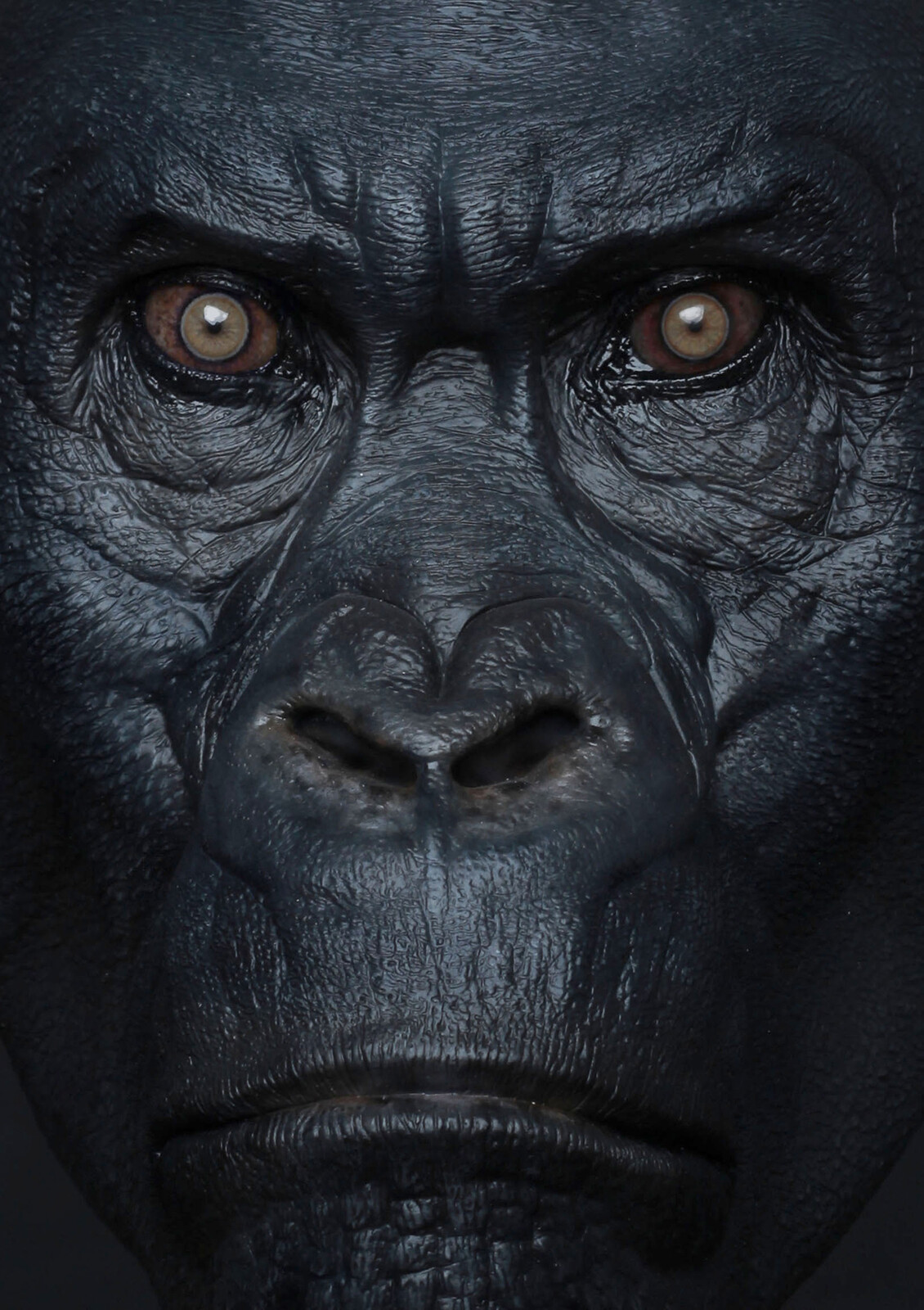 The Legend of Tarzan / Akut