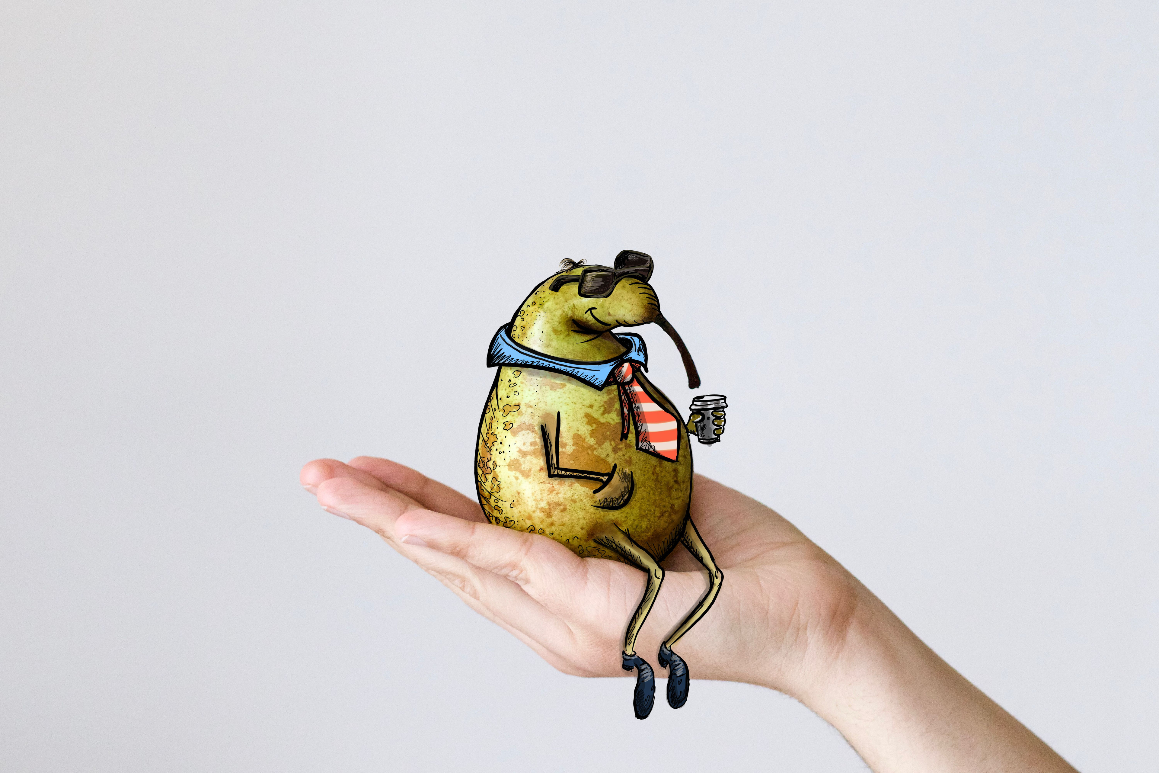 Mr Pear - character visualization