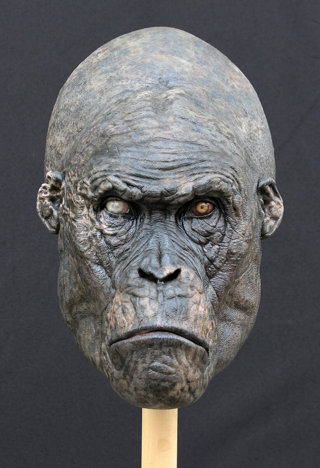 The Legend of Tarzan / Kerchak