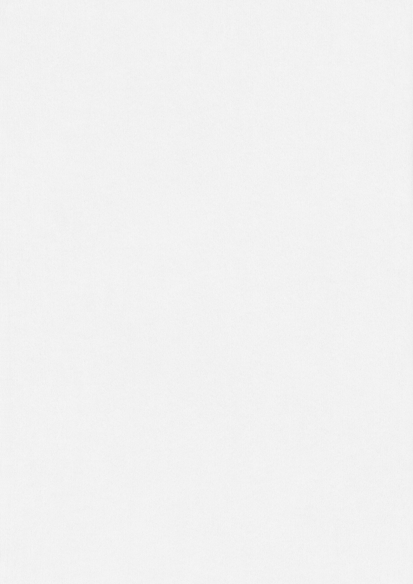 Alexander Nedviga 26 White Paper Background Textures
