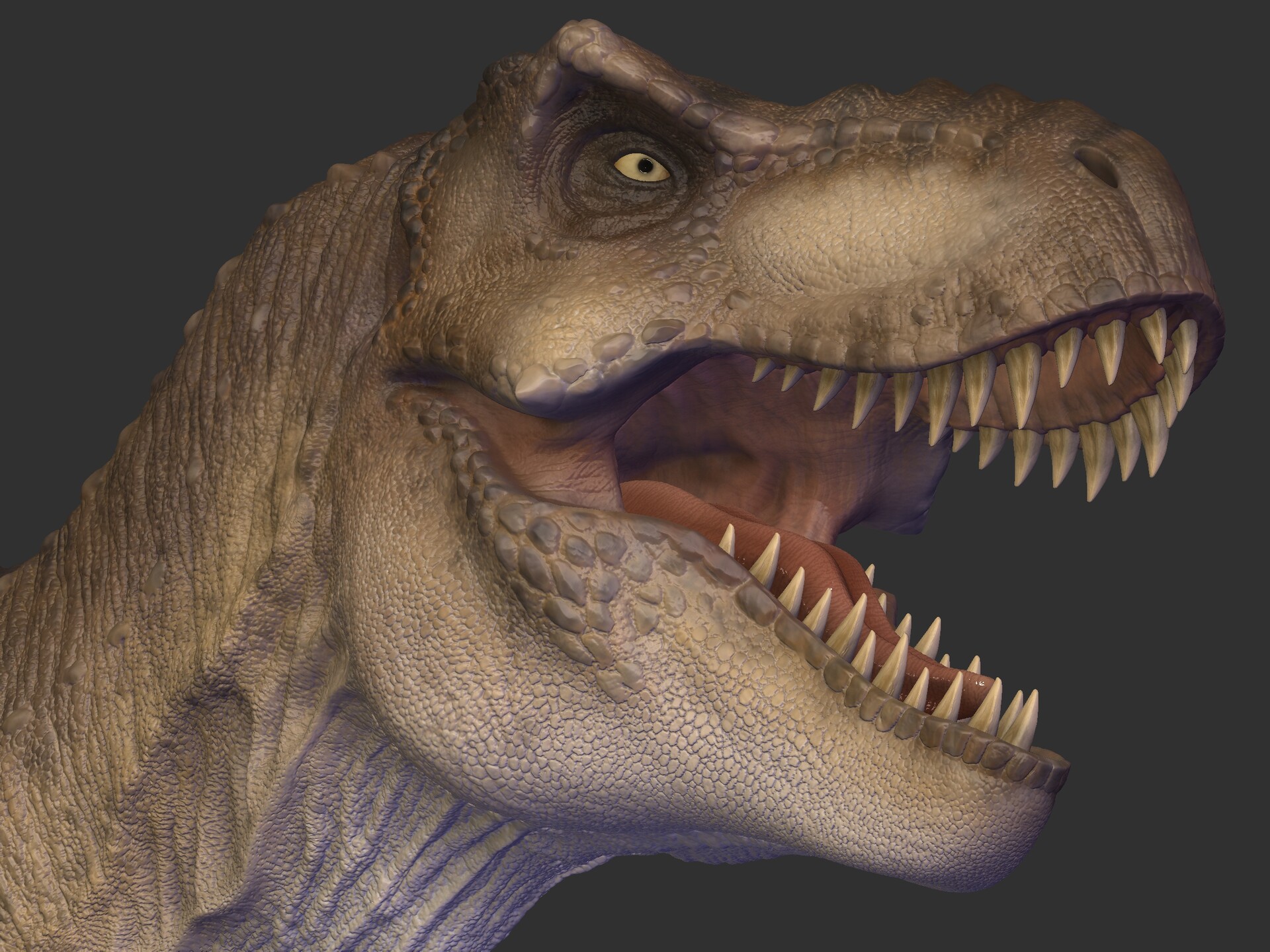 rexy dino a little t rex