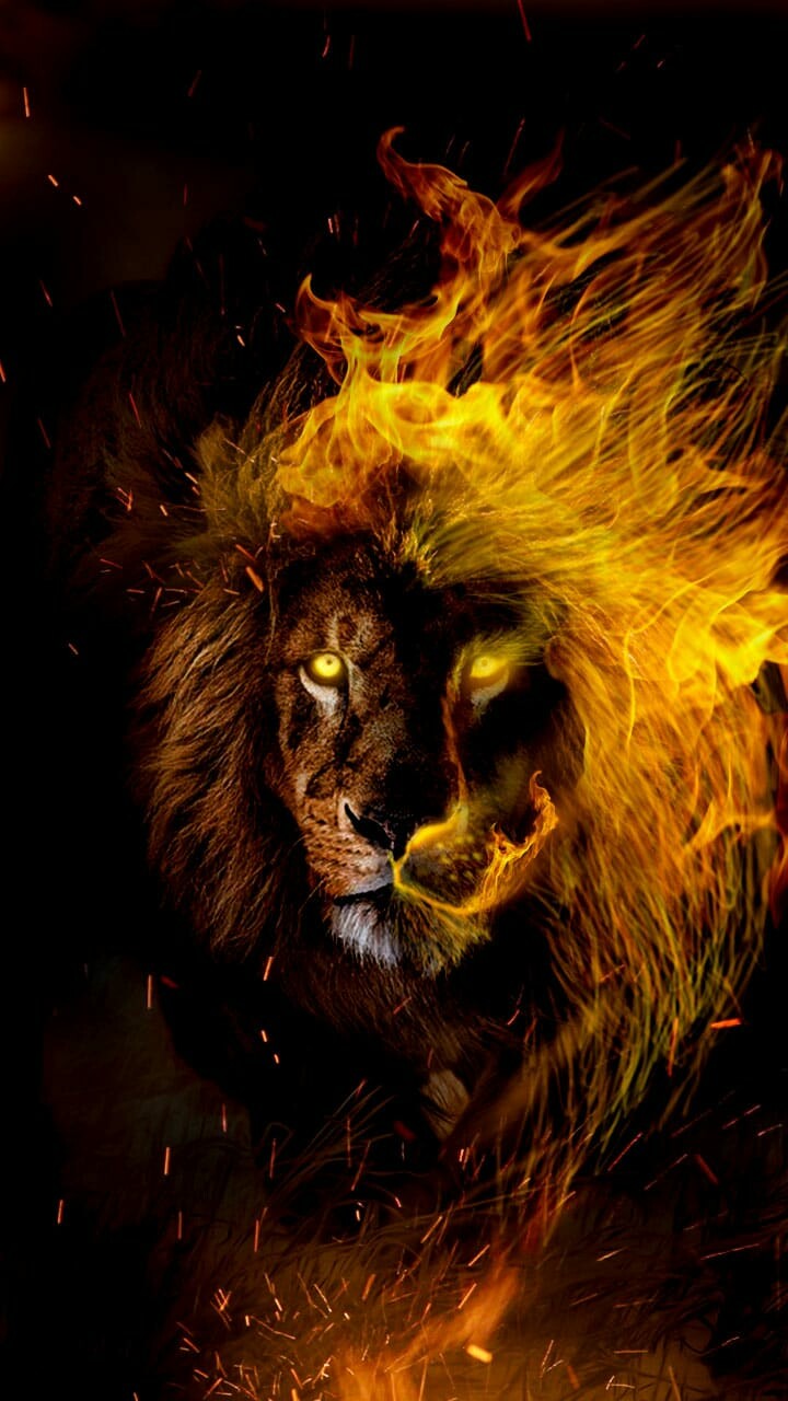 Artstation Wild Fire King Of The Beast Rucha Rane