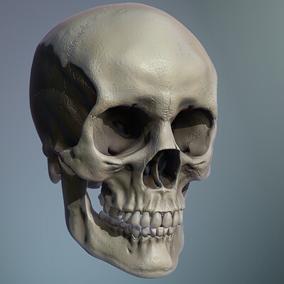 Diego rm craneo render compo