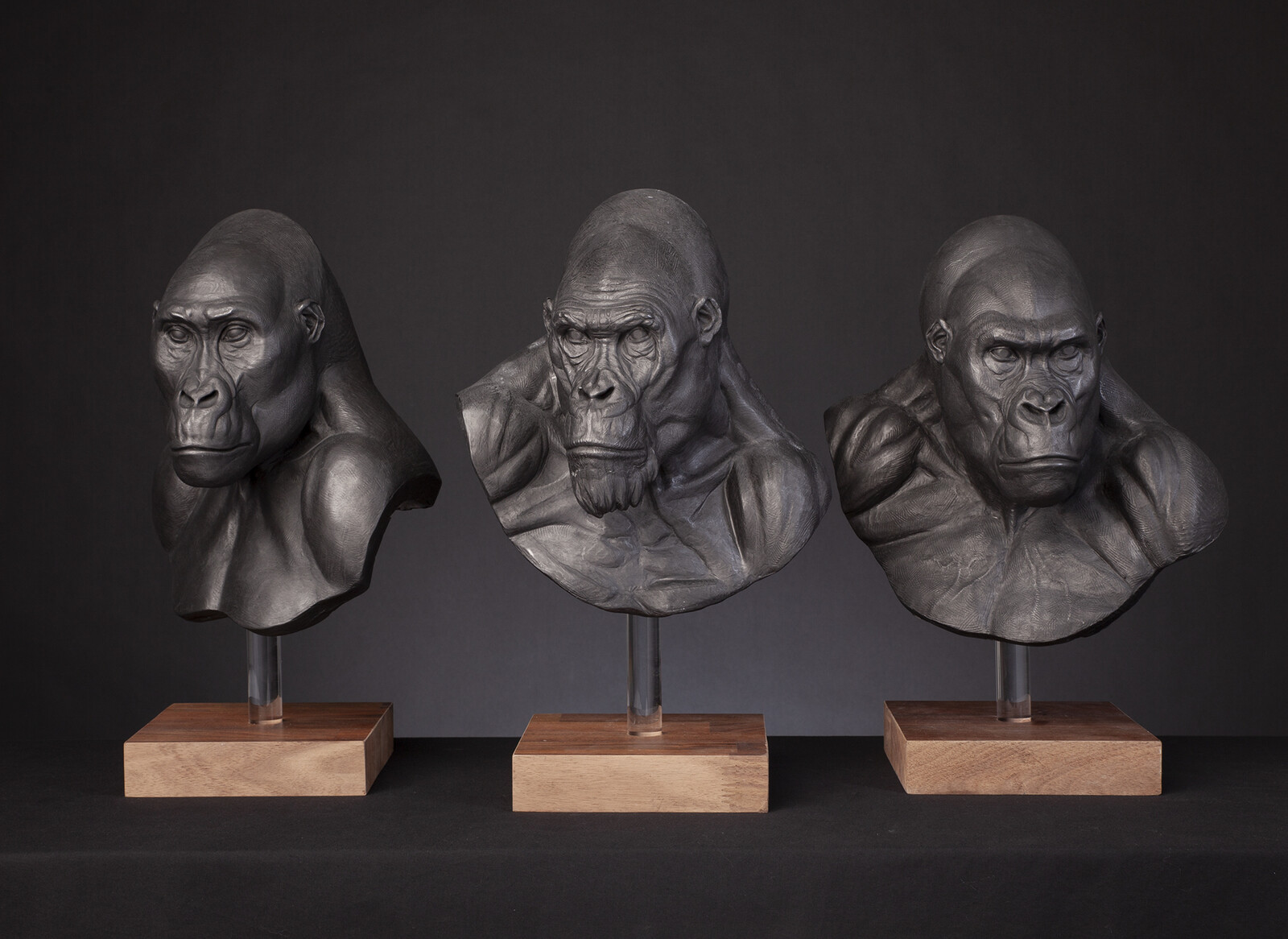 The Legend of Tarzan / Approved Mangani Concept Maquettes