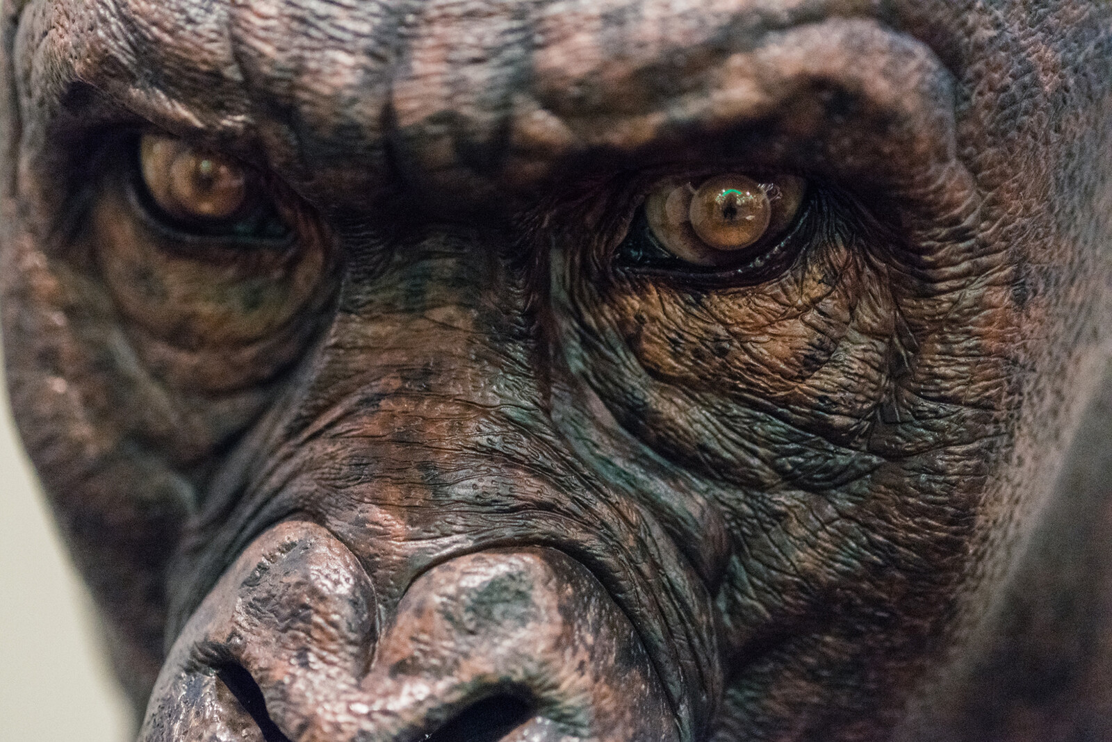 The Legend of Tarzan / Akut  Concept Close up