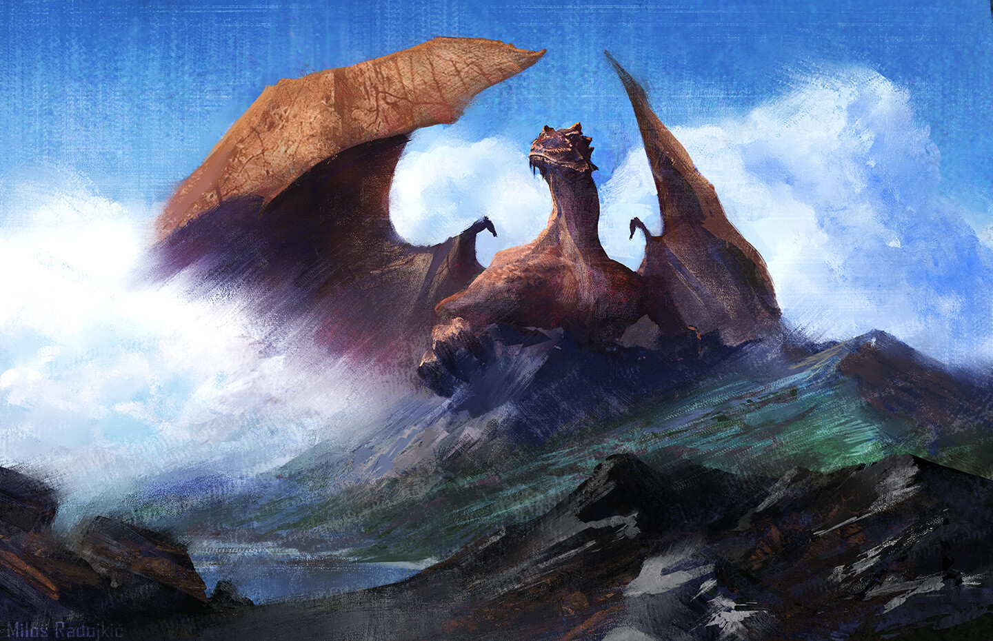 dragon landscape. dragon landscape.