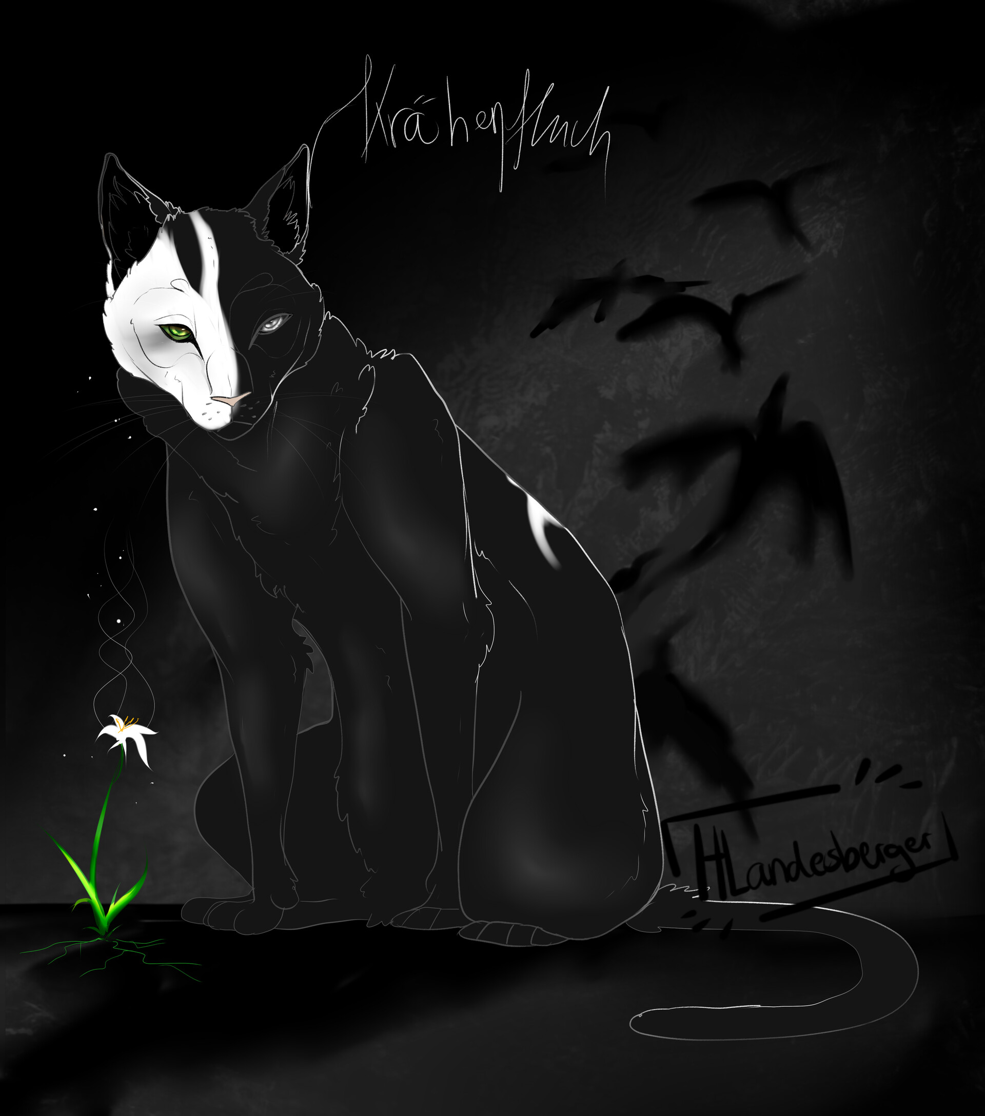 Hannah Landesberger Warrior Cats OC Crowcurse