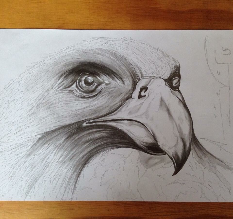 Artstation Https Www Facebook Com Drawing Pencil Amauri Gaspar