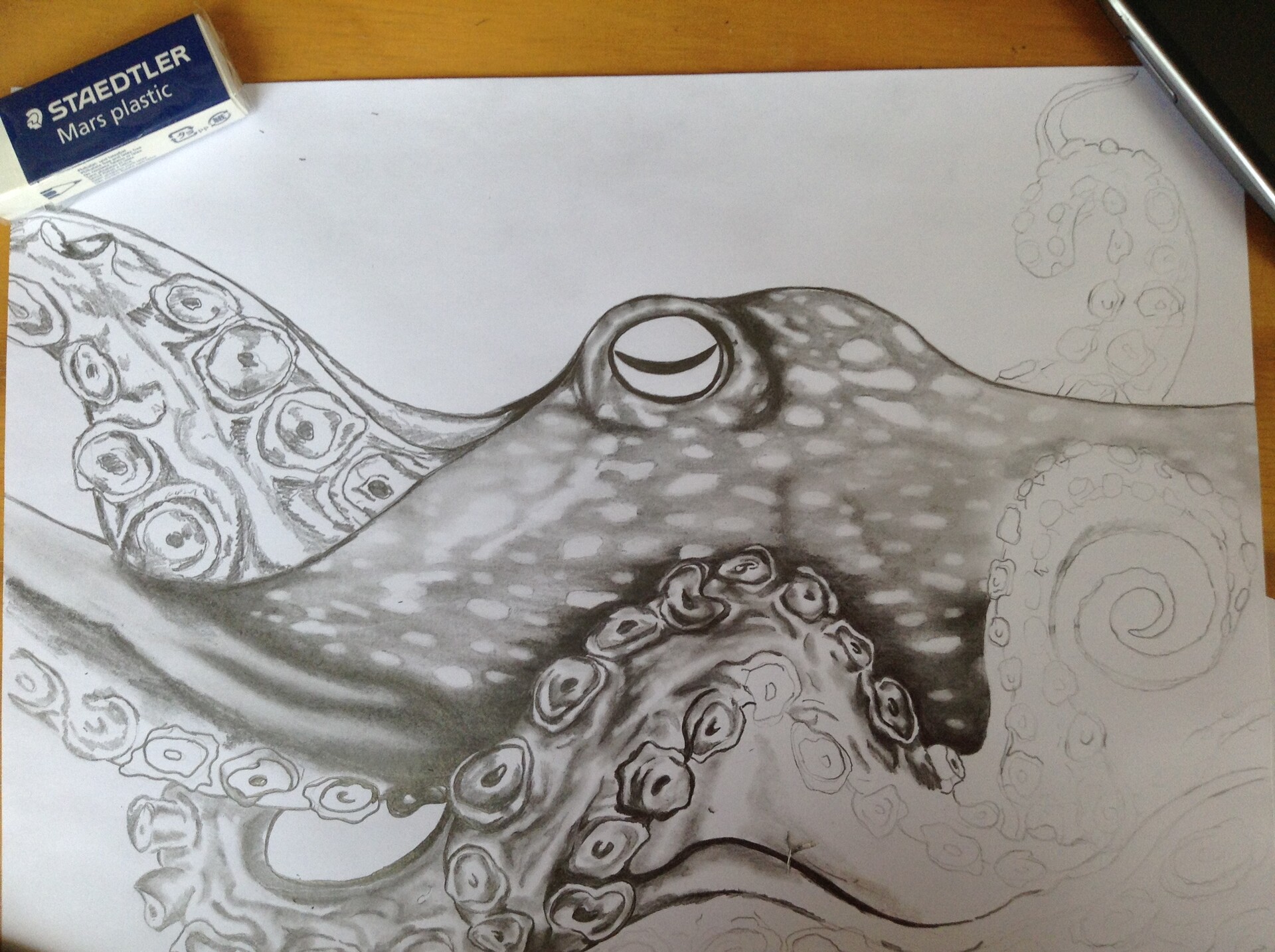 Amauri Gaspar Amauri Gaspar Drawing Pencil