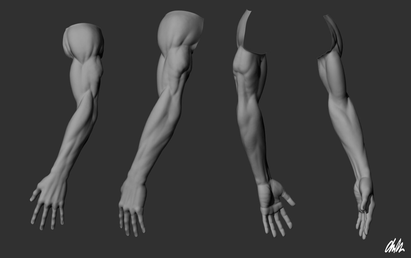ArtStation Arm Anatomy Shape and Form Study