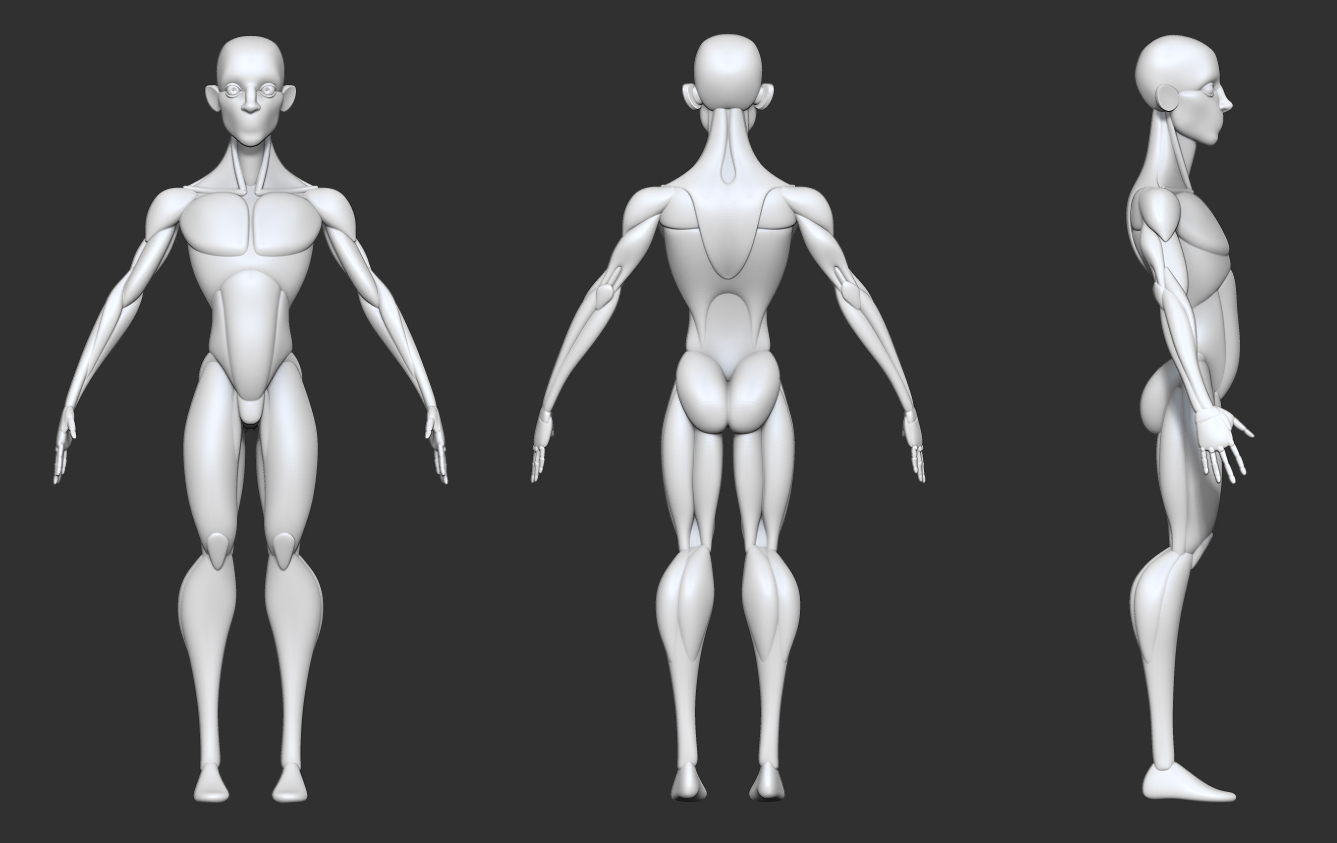 Body side. Blockout 3в. Stylized Anatomy Blockout. Blockout анатомия. Техноморф анатомия.