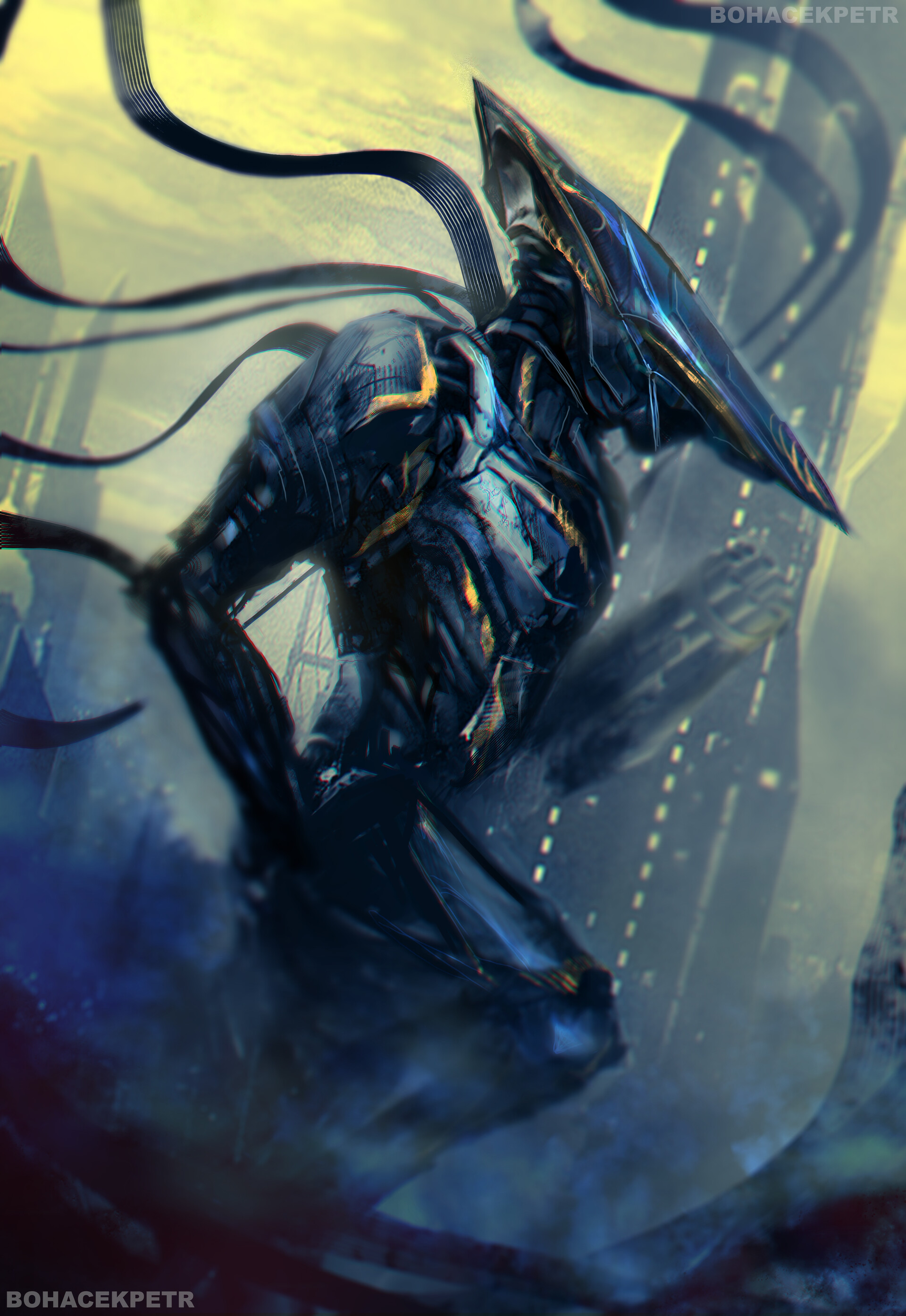 petr bohacek