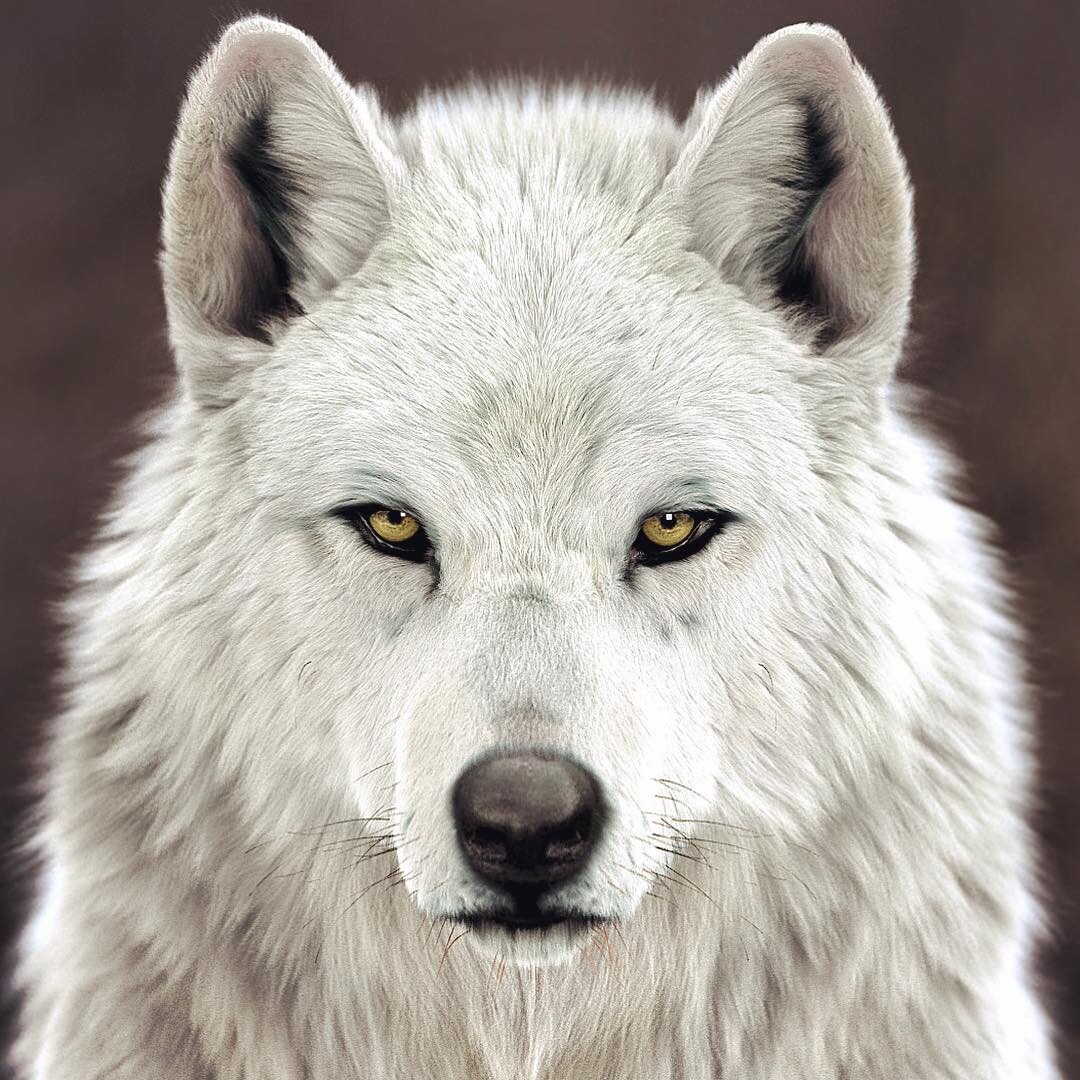 artstation