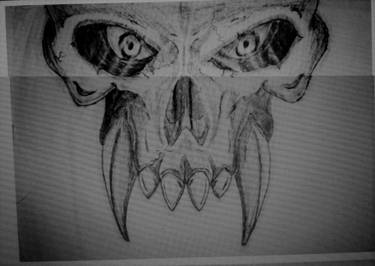 Peredur Owen Williams Sketches Human skull drawing lessons and step by step drawing tutorials for drawing kulls cartoons. peredur owen williams