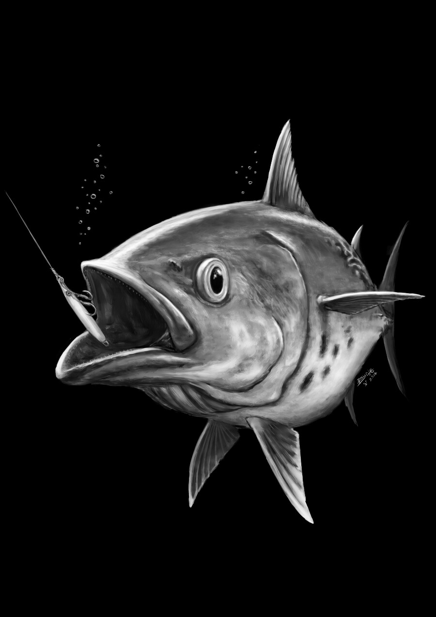 Little Tunny (Euthynnus alletteratus)
