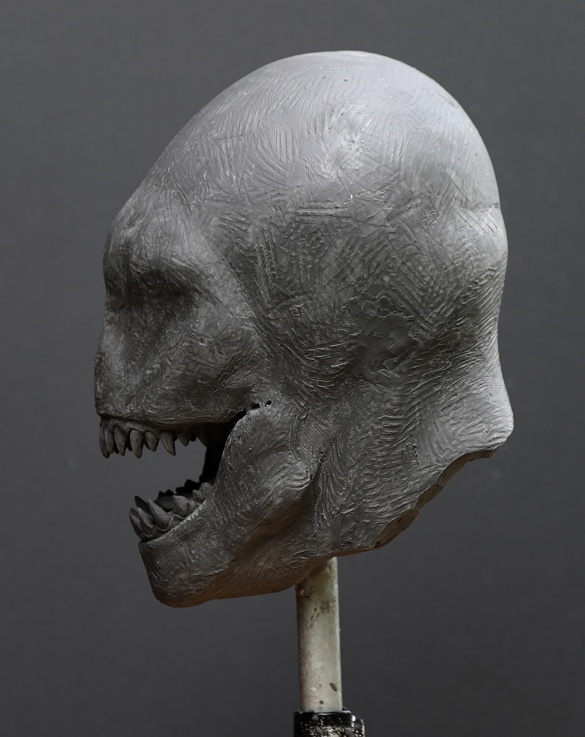 Miss Peregrine's Home for Peculiar Children / Barron Concept head