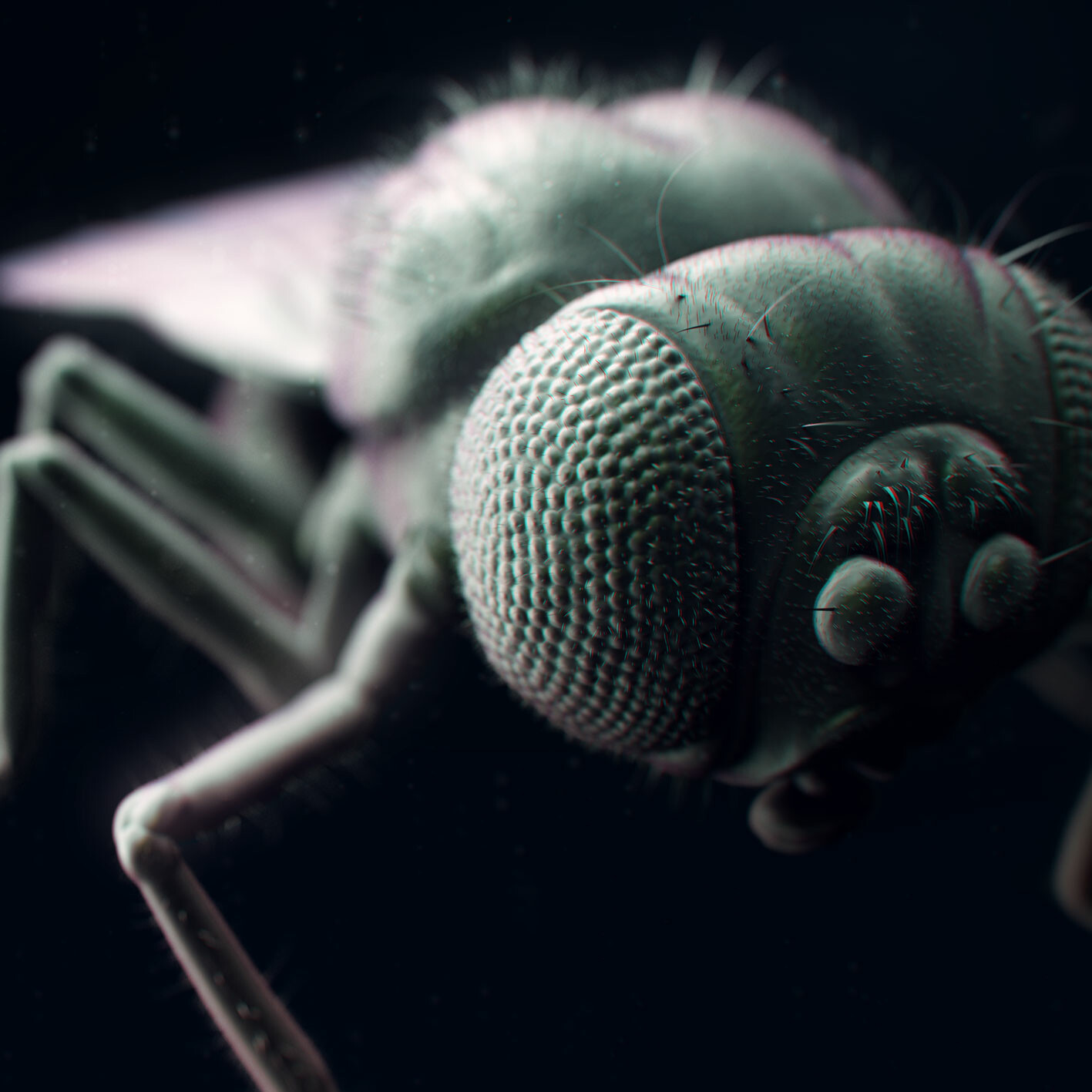 ArtStation Drosophila melanogaster