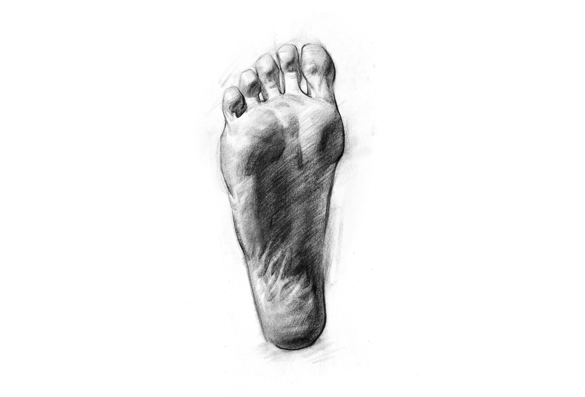 Human woman bared feet line drawing sketch Vector Image