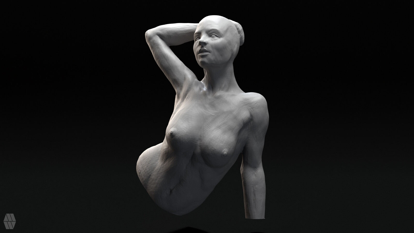 Female upper torso (1.5 hours) Focusing on overall shapes 