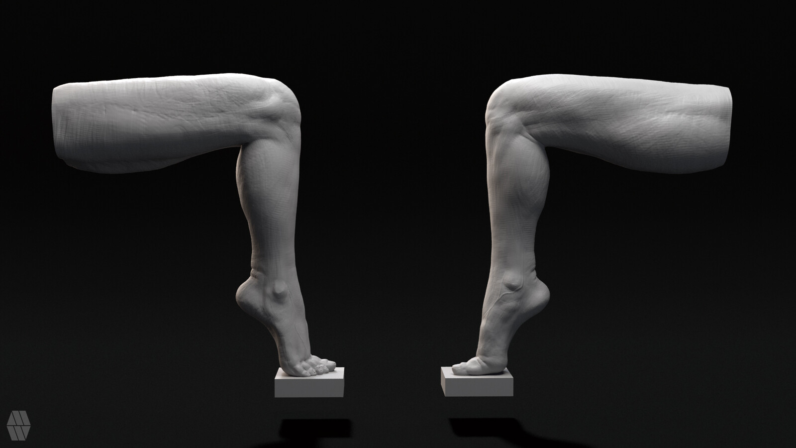 Female leg 02 (1.5 hours)