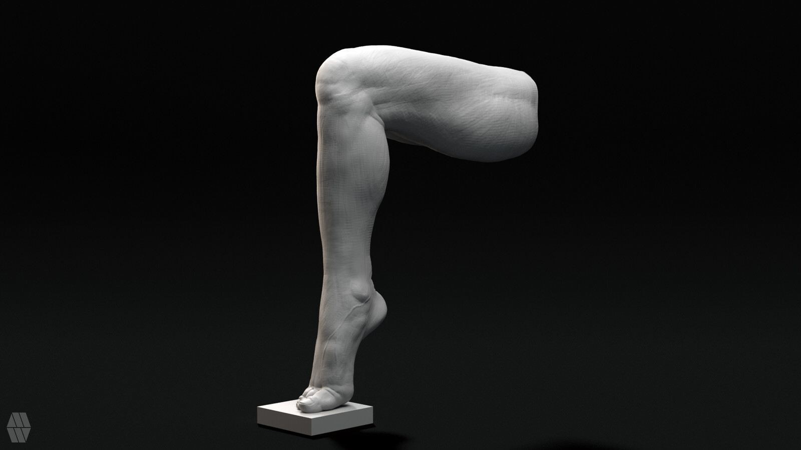 Anatomy Studies 02 Quick Sculpts