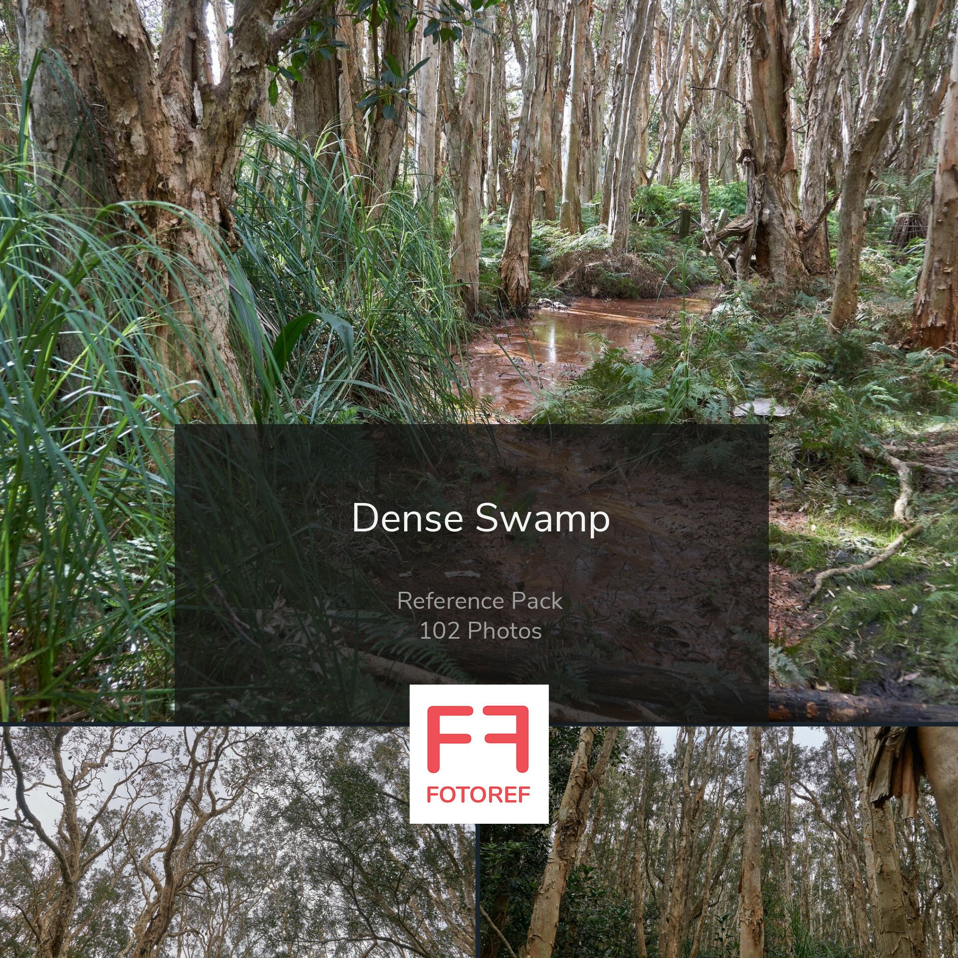 Artstation 102 Photos Of Dense Swamp Fotoref Com Photo Packs