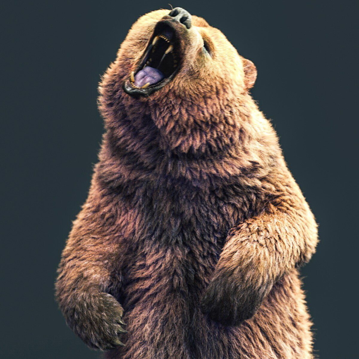 Bear upright 