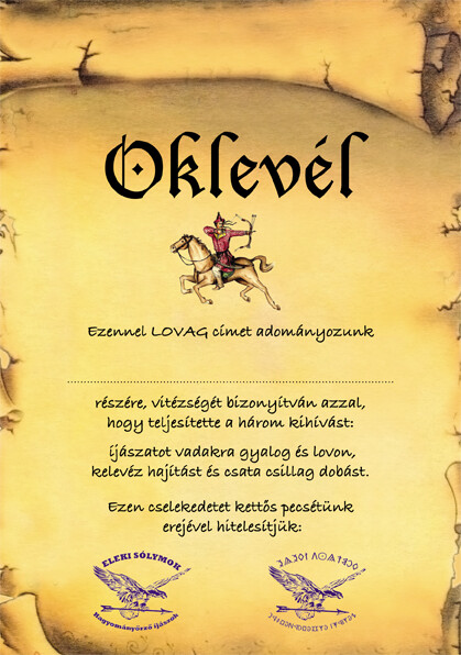 Kitűző - Lovag Kitűző - Lovag