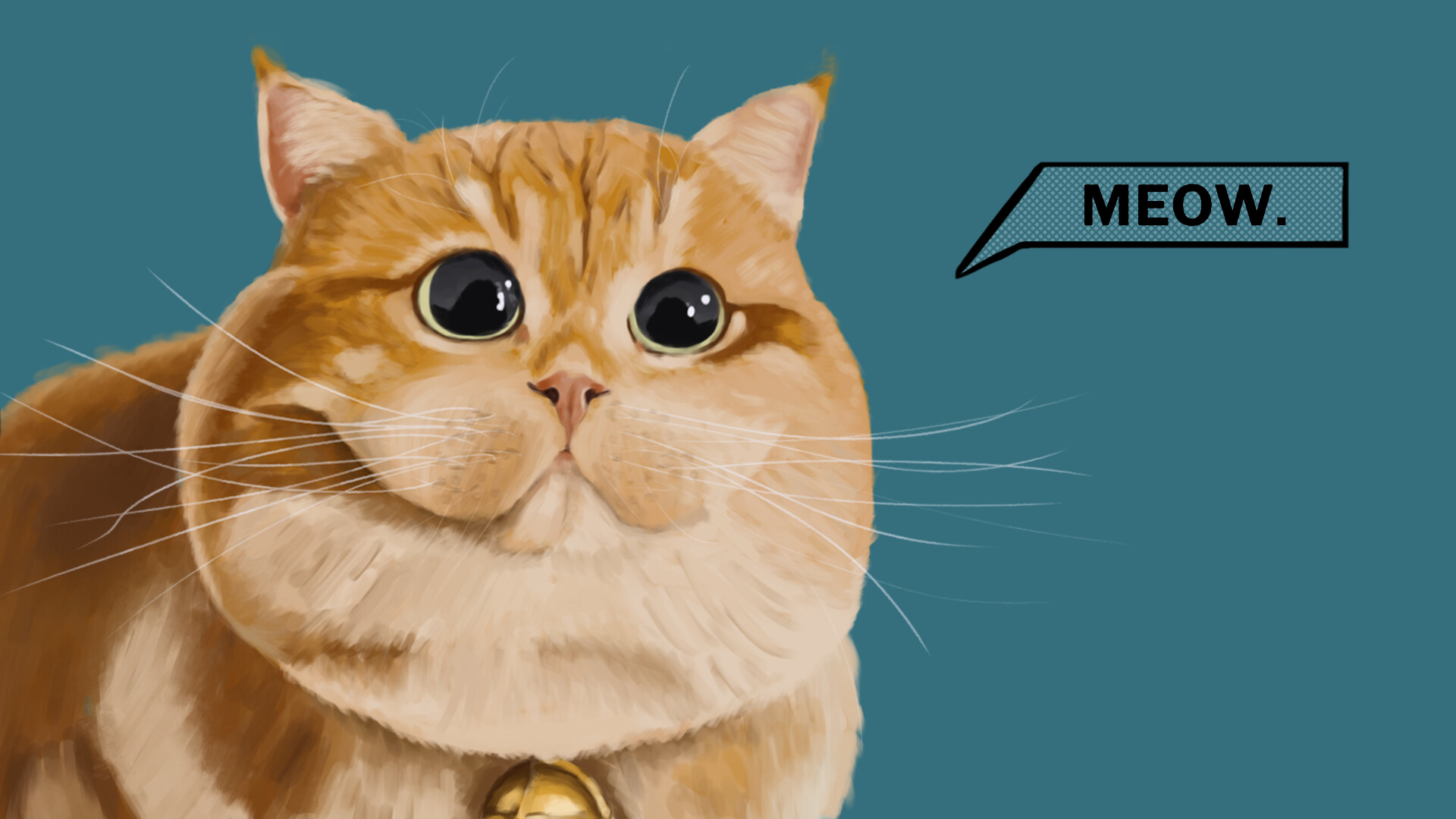 Обои на телефон с котиками смешные мем