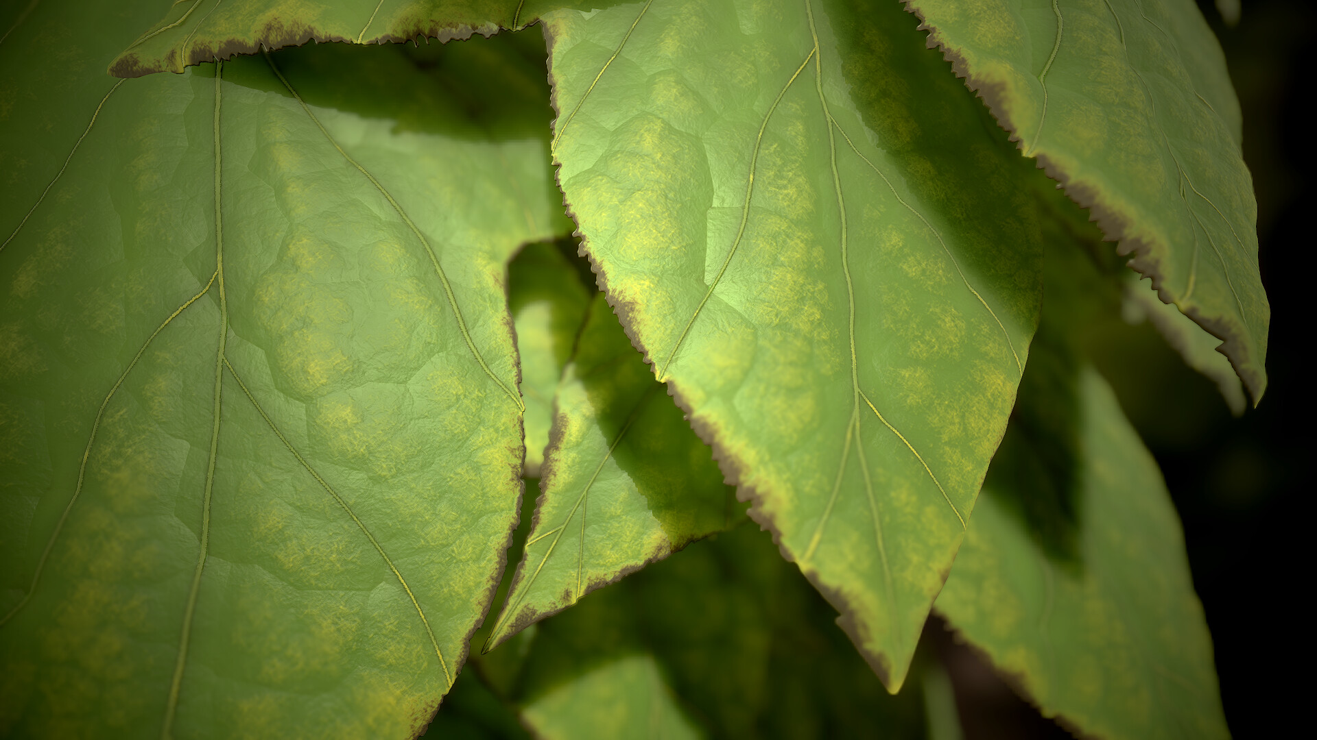 Fabrizio Bergamo - Leaf Generator
