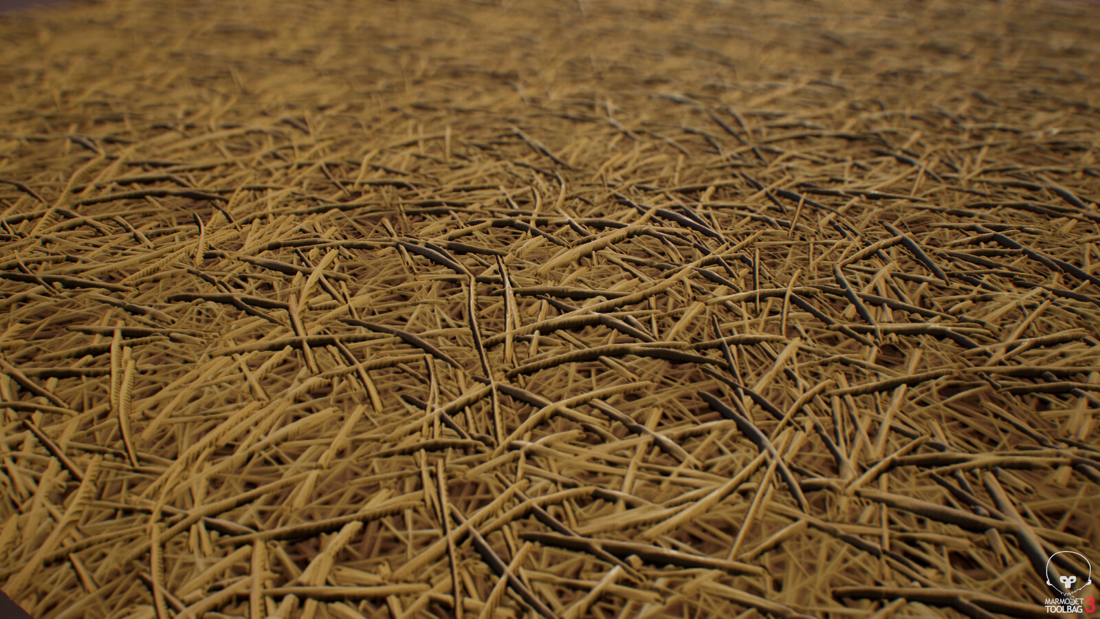 The intricate beauty of straw...