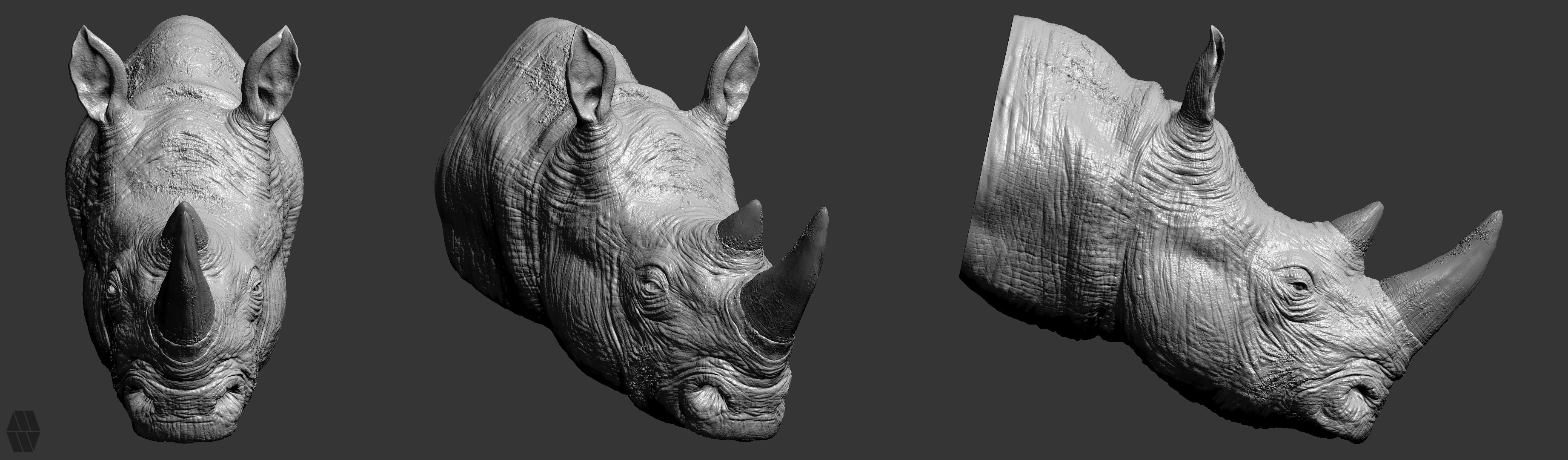 High poly detail Character Sheet (Zbrush)
