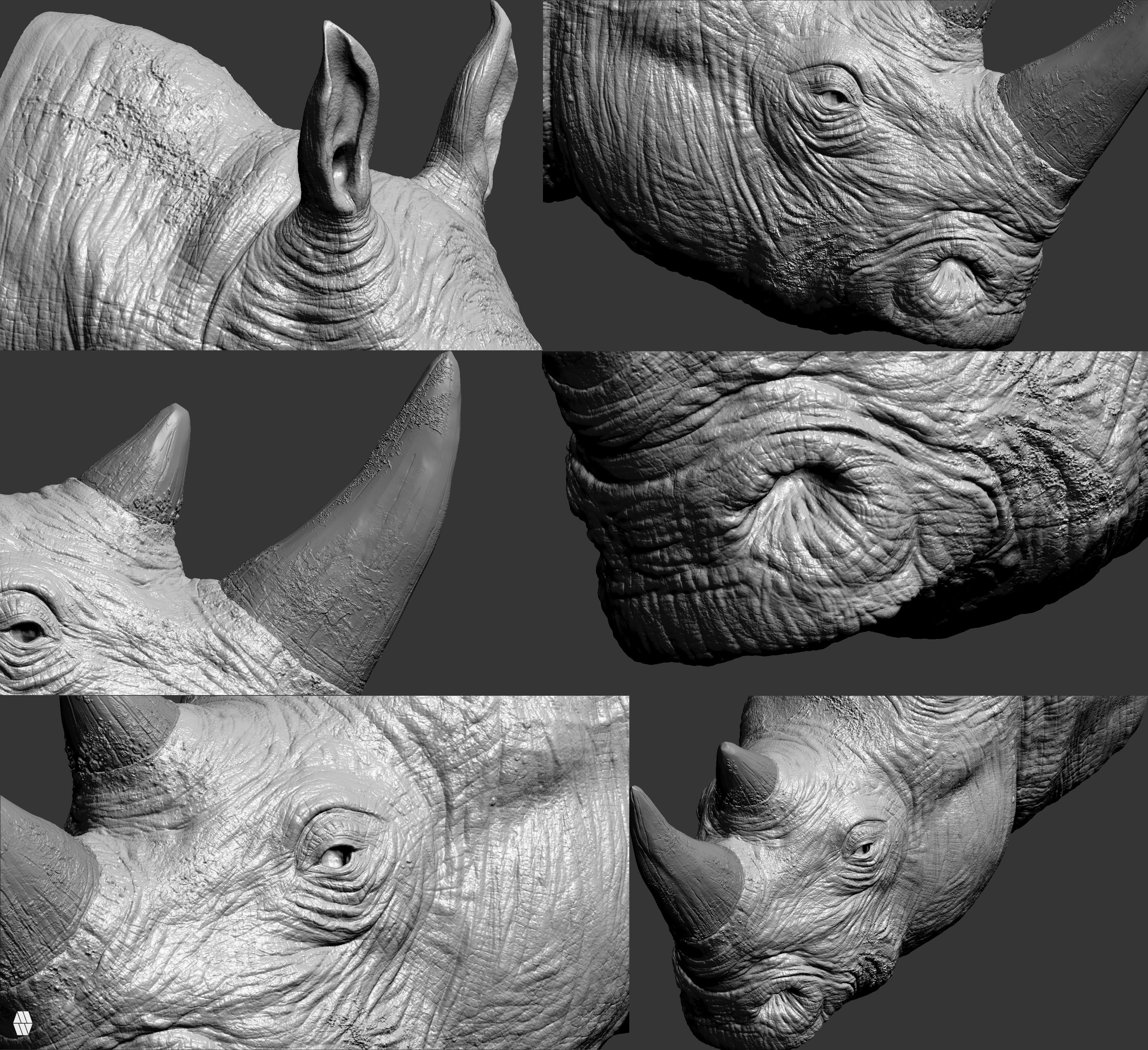 Detail Close ups (Zbrush)