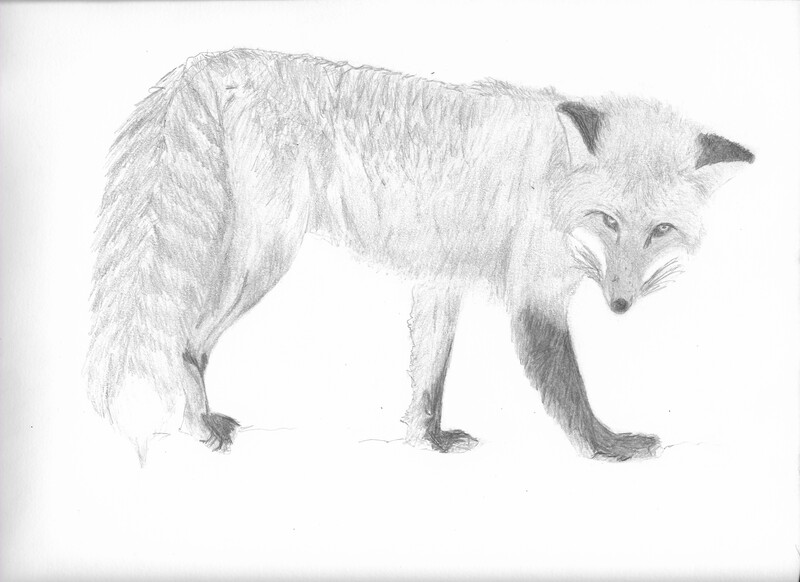 ArtStation Mike Hedrick