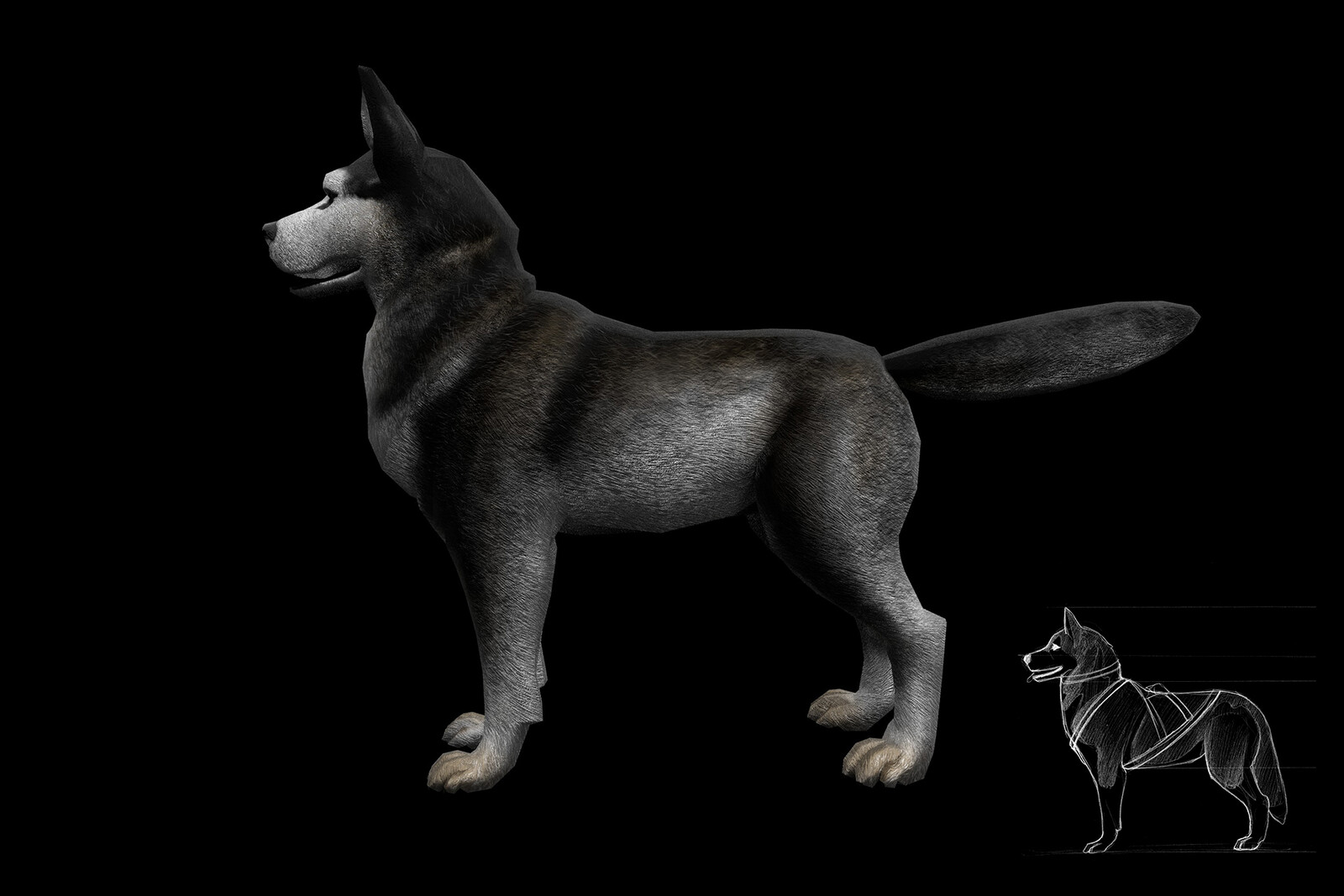 Dog model with reference sketch