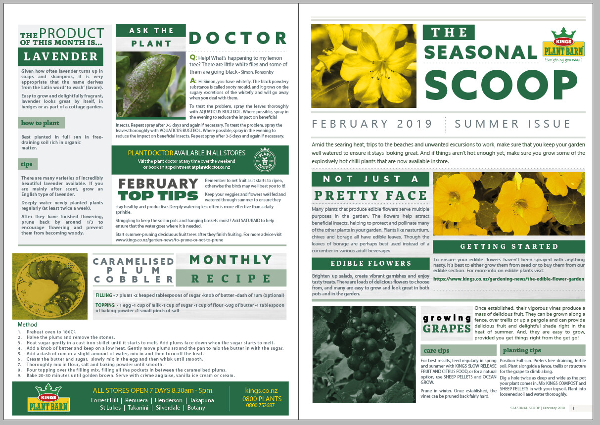 Lewis Poll Kings Plant Barn Newsletter