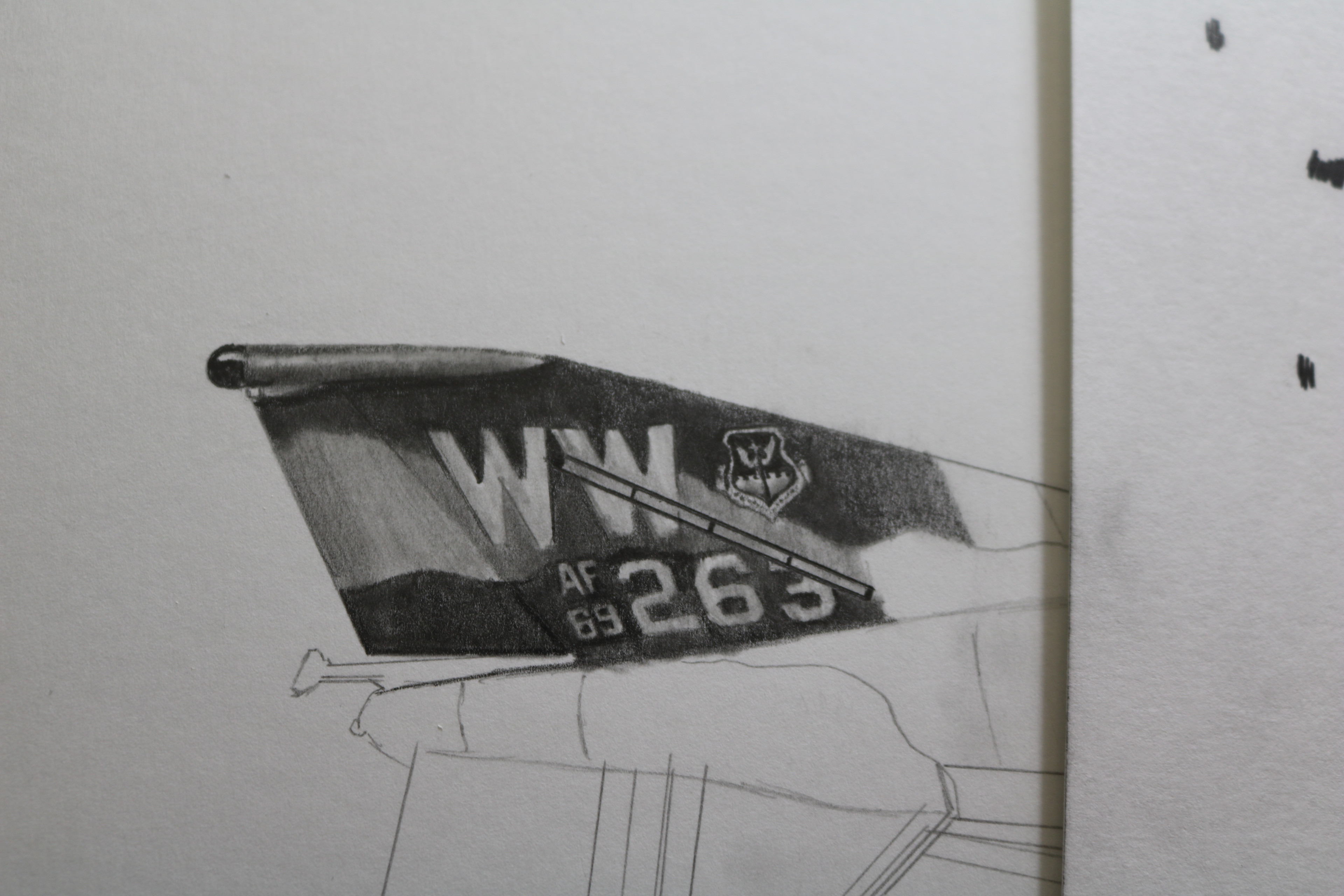 Wild Weasel