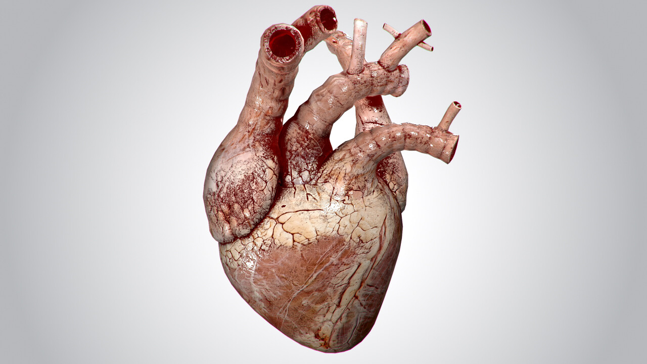 Alex Volkov Heart Grungy Rigged Animated Pbr Low Poly 3d Model