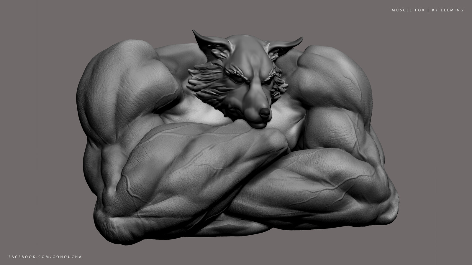 Muscle Fox