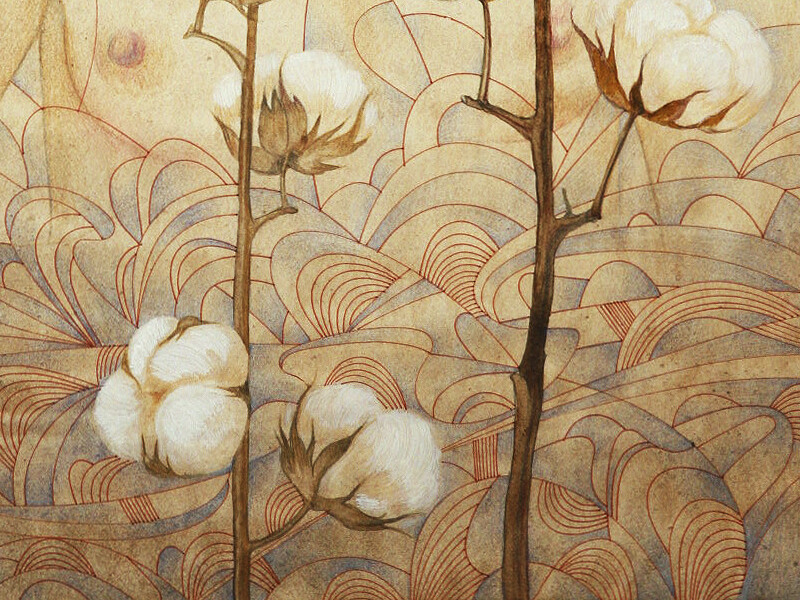 Cotton