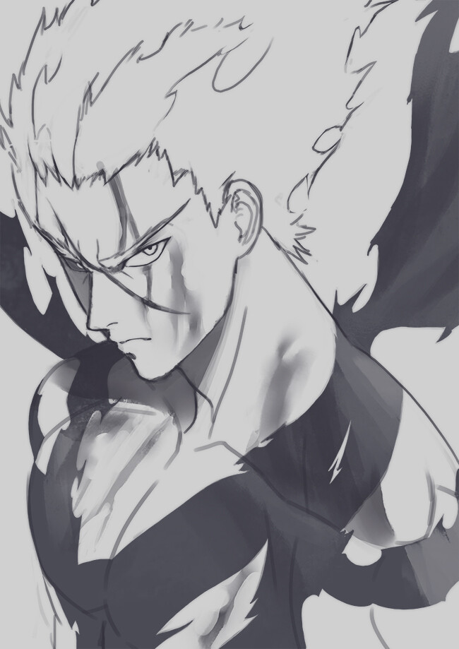 Featured image of post Garou One Punch Man Drawing After saving a child from certain death he decided to become