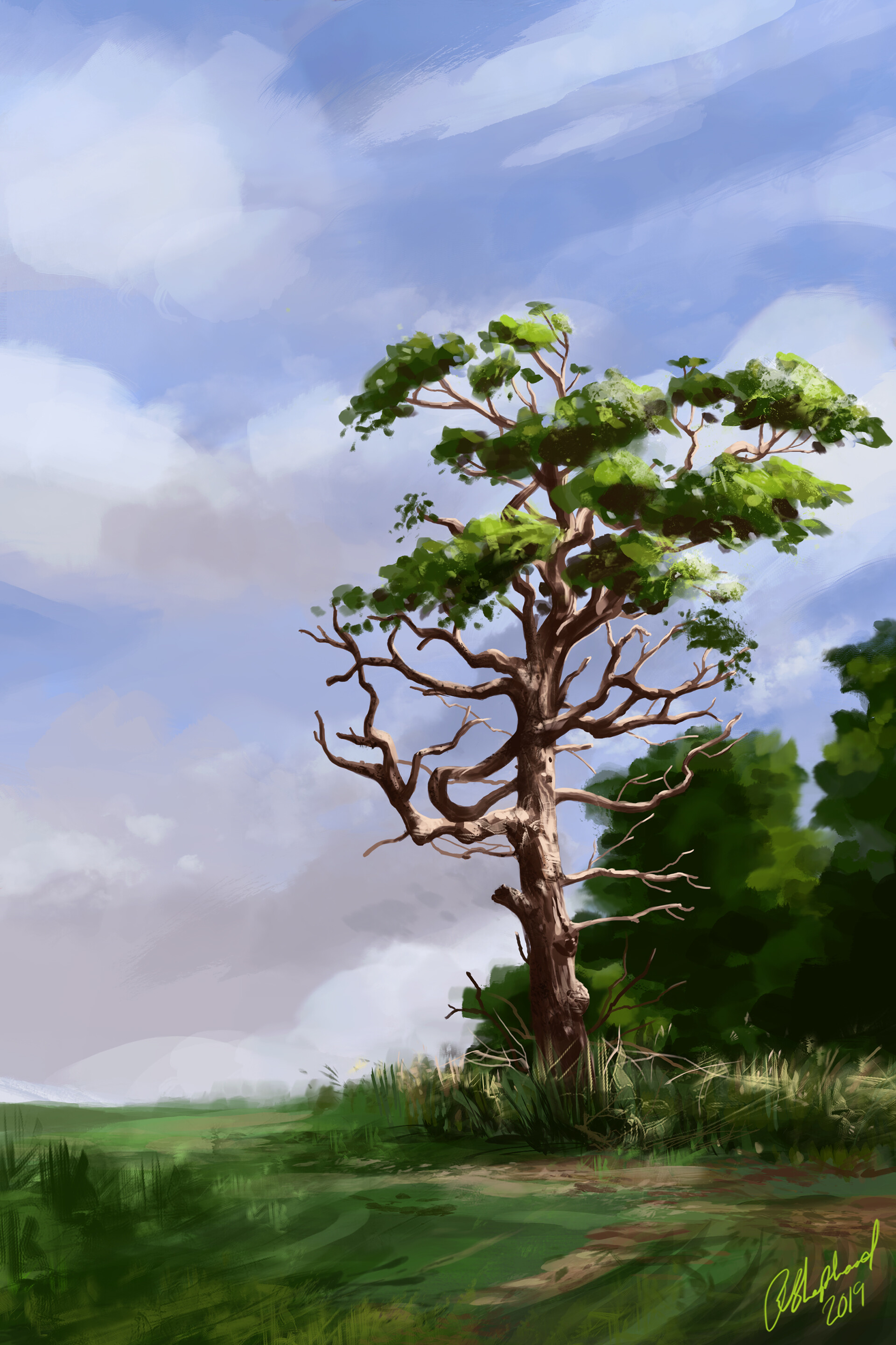 Artstation Study Painting 02 Forming Rain Clouds